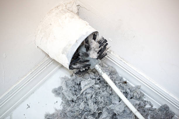 Best Local Air Duct Cleaning Services  in Coal City, IL